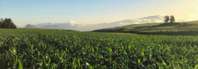 Porque juntos, podemos hacer más.